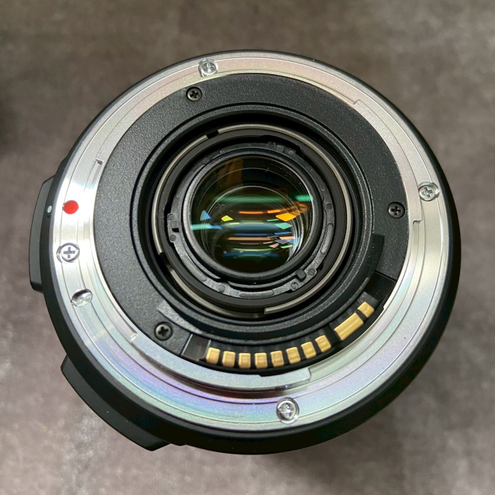 Canon 80D 水貨 + SIGMA 18-250mm F3.5-6.3 DC OS 水貨-細節圖9