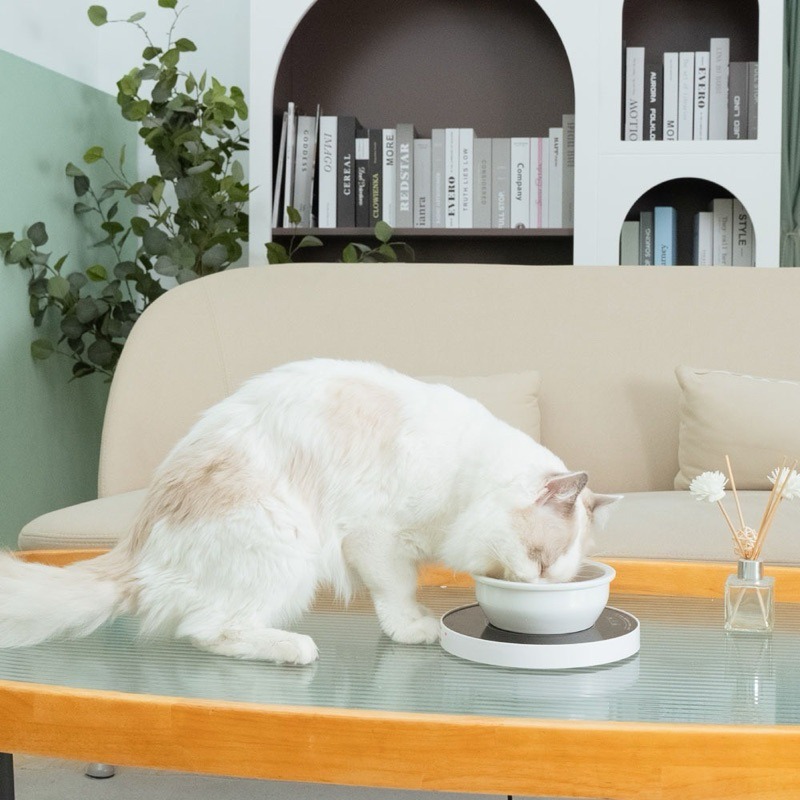 預購 GC 喝不停 AquaLux 寵物智能陶瓷飲水機恒溫底座-細節圖6