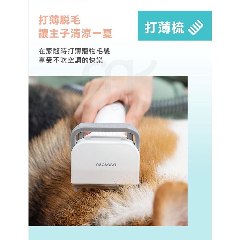 neabot 多功能寵物理毛美容器 (P1 Pro) 剃毛器 理毛器 梳毛 強強滾-細節圖6