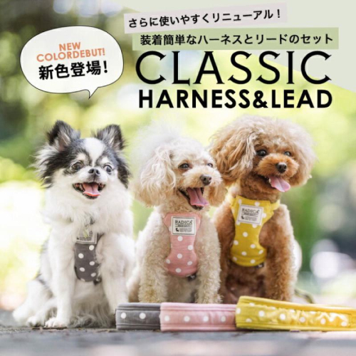 HOMIA日本Radica寵物可愛胸背帶日系柔軟舒適柴犬約克夏玩具貴賓比熊雪納瑞布偶貓吉娃娃外出散步中小型犬貓適用