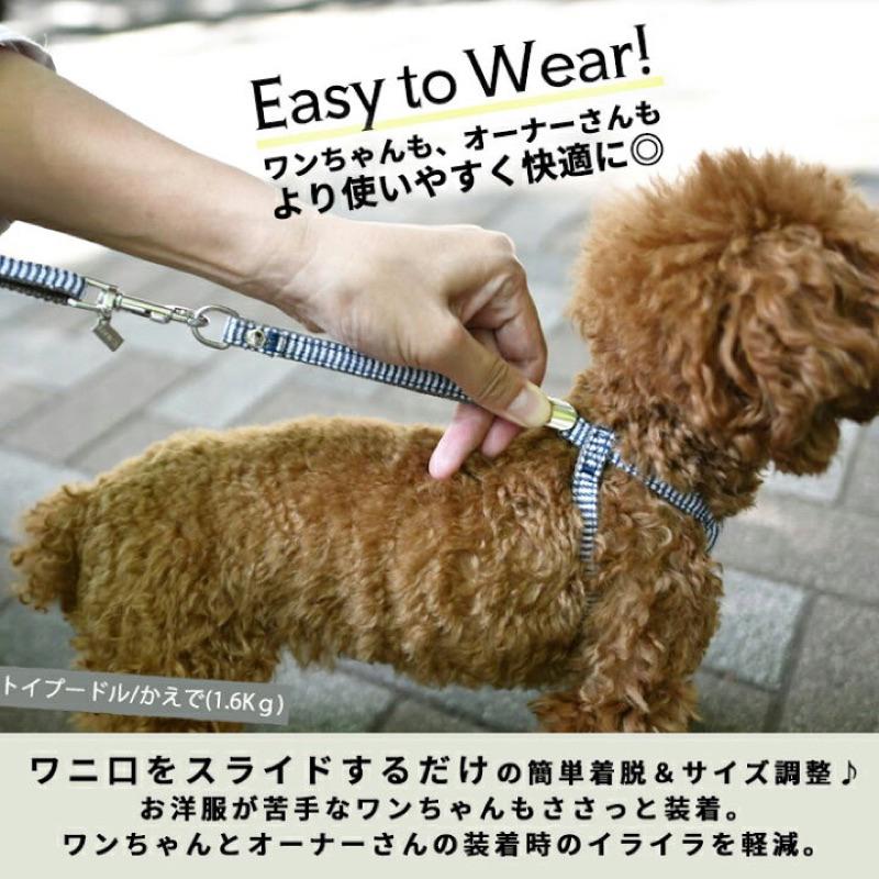 HOMIA🇯🇵日本Radica寵物可愛胸背帶日系柔軟舒適柴犬約克夏玩具貴賓比熊雪納瑞布偶貓吉娃娃外出散步中小型犬貓適用-細節圖2