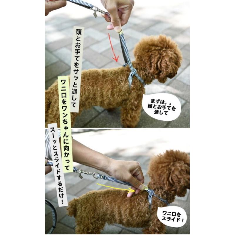 HOMIA🇯🇵日本Radica寵物可愛胸背帶日系柔軟舒適柴犬約克夏玩具貴賓比熊雪納瑞布偶貓吉娃娃外出散步中小型犬貓適用-細節圖3