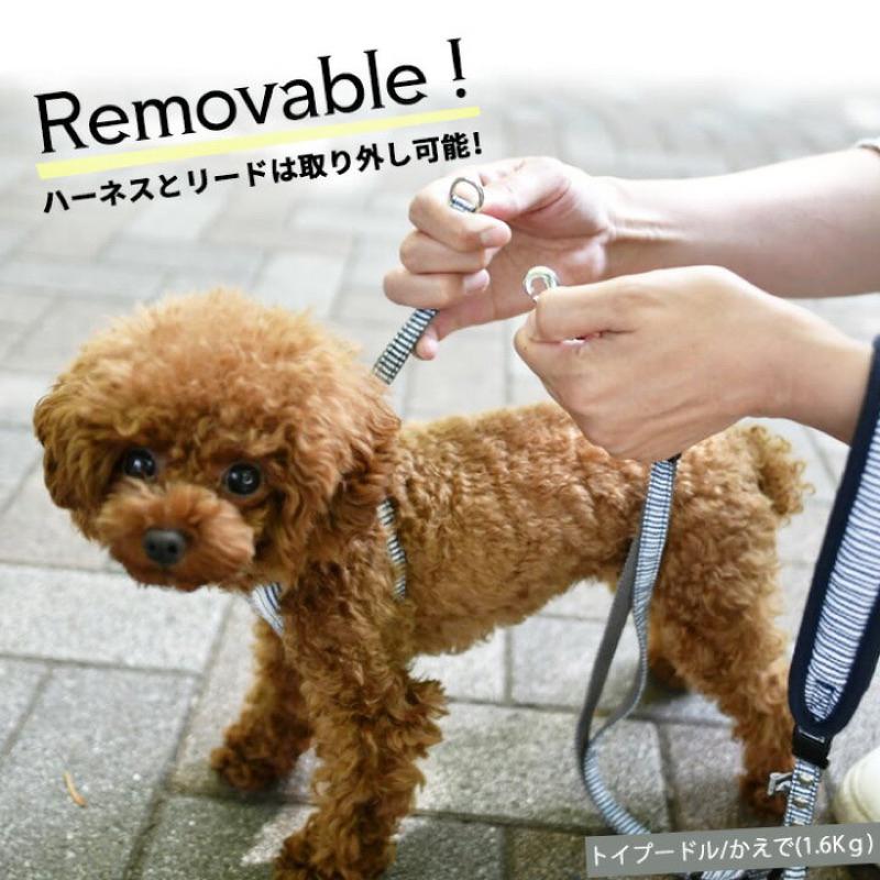 HOMIA🇯🇵日本Radica寵物可愛胸背帶日系柔軟舒適柴犬約克夏玩具貴賓比熊雪納瑞布偶貓吉娃娃外出散步中小型犬貓適用-細節圖4