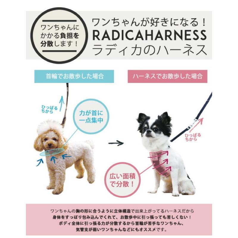 HOMIA🇯🇵日本Radica寵物可愛胸背帶日系柔軟舒適柴犬約克夏玩具貴賓比熊雪納瑞布偶貓吉娃娃外出散步中小型犬貓適用-細節圖6
