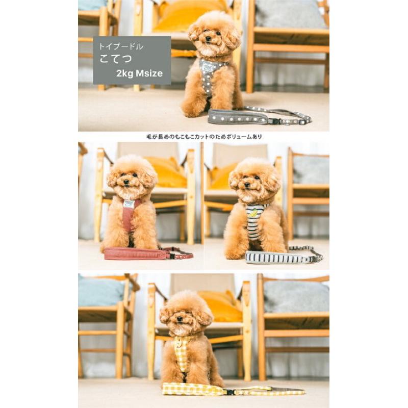 HOMIA🇯🇵日本Radica寵物可愛胸背帶日系柔軟舒適柴犬約克夏玩具貴賓比熊雪納瑞布偶貓吉娃娃外出散步中小型犬貓適用-細節圖7