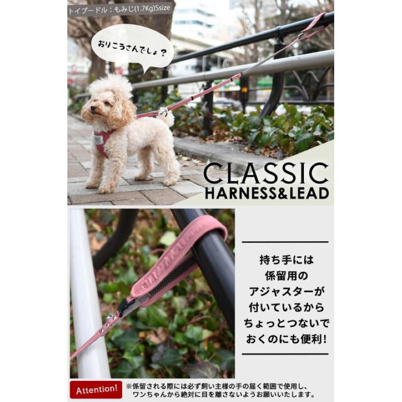 HOMIA🇯🇵日本Radica寵物可愛胸背帶日系柔軟舒適柴犬約克夏玩具貴賓比熊雪納瑞布偶貓吉娃娃外出散步中小型犬貓適用-細節圖8