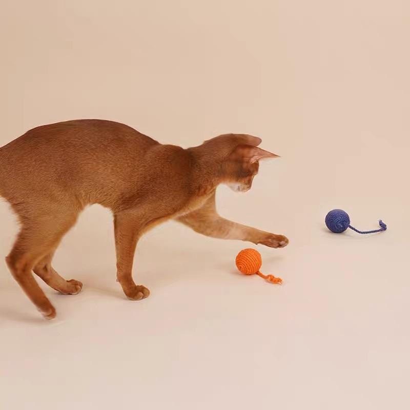 HOMIA🇯🇵日系zeze貓玩具逗貓棒耐咬貓薄荷球貓貓玩具套裝貓咪玩具自嗨小貓幼貓-細節圖4