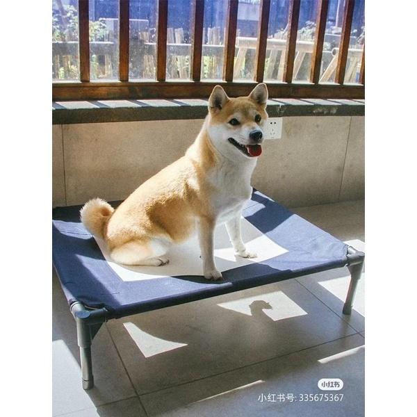 HOMIA PETSHOP｜blueport X GeekPlant 聯名寵物行軍床狗窩狗床透氣外出露營牛津布-細節圖7