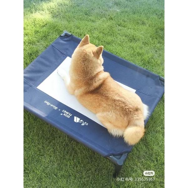 HOMIA PETSHOP｜blueport X GeekPlant 聯名寵物行軍床狗窩狗床透氣外出露營牛津布-細節圖8
