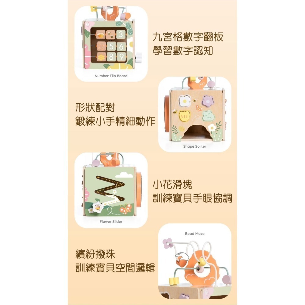 【德國 classic world 客來喜經典木玩】花園蜜蜂六面撥珠《20192》-細節圖4