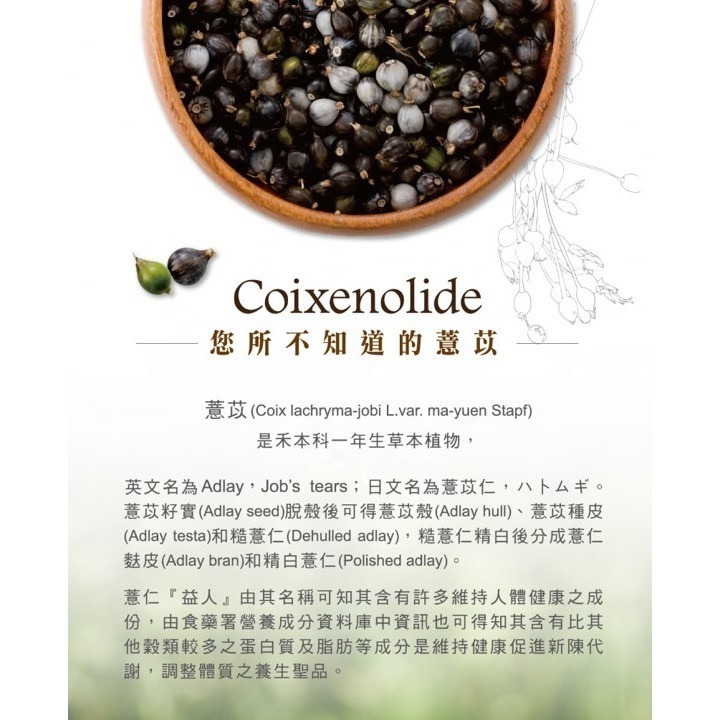 喬本生醫 薏苡酯 500粒/瓶-細節圖2