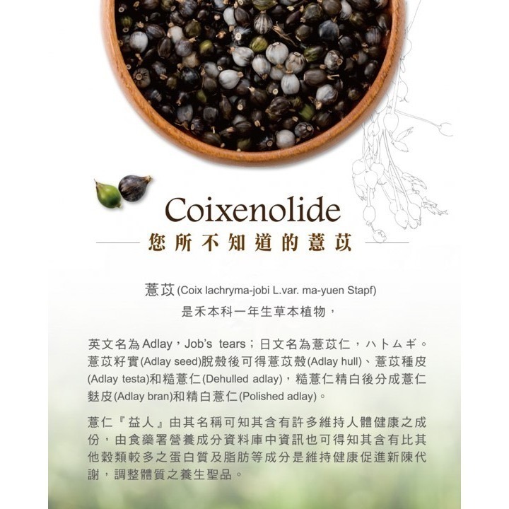 喬本生醫 薏苡酯 500粒/瓶-細節圖2