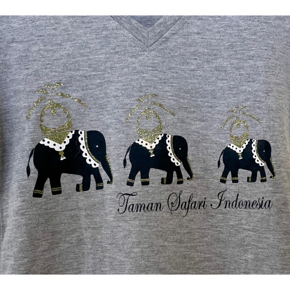 全新台灣現貨 純棉 灰色V領大短袖上衣 修身顯瘦 XS碼-細節圖2