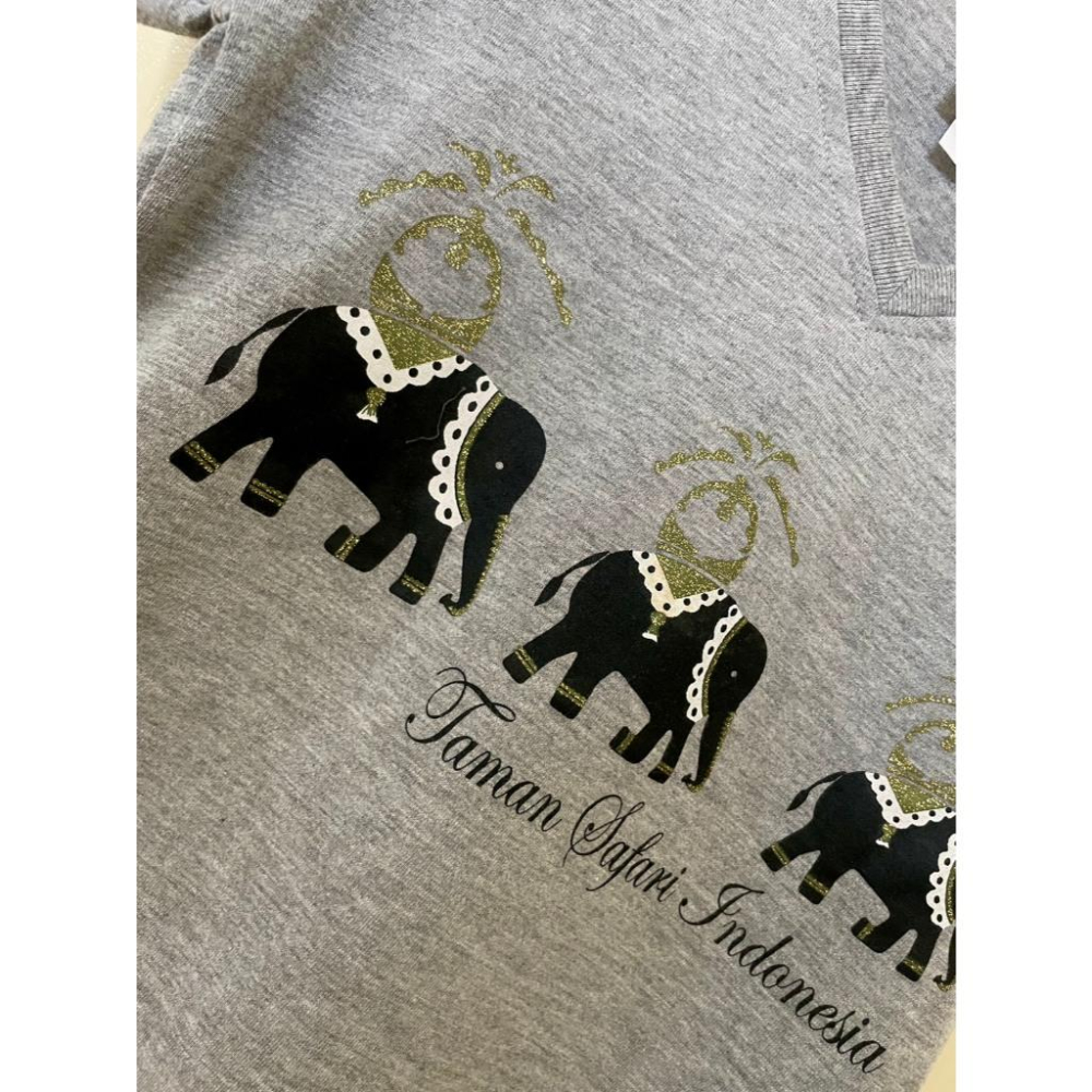 全新台灣現貨 純棉 灰色V領大短袖上衣 修身顯瘦 XS碼-細節圖3