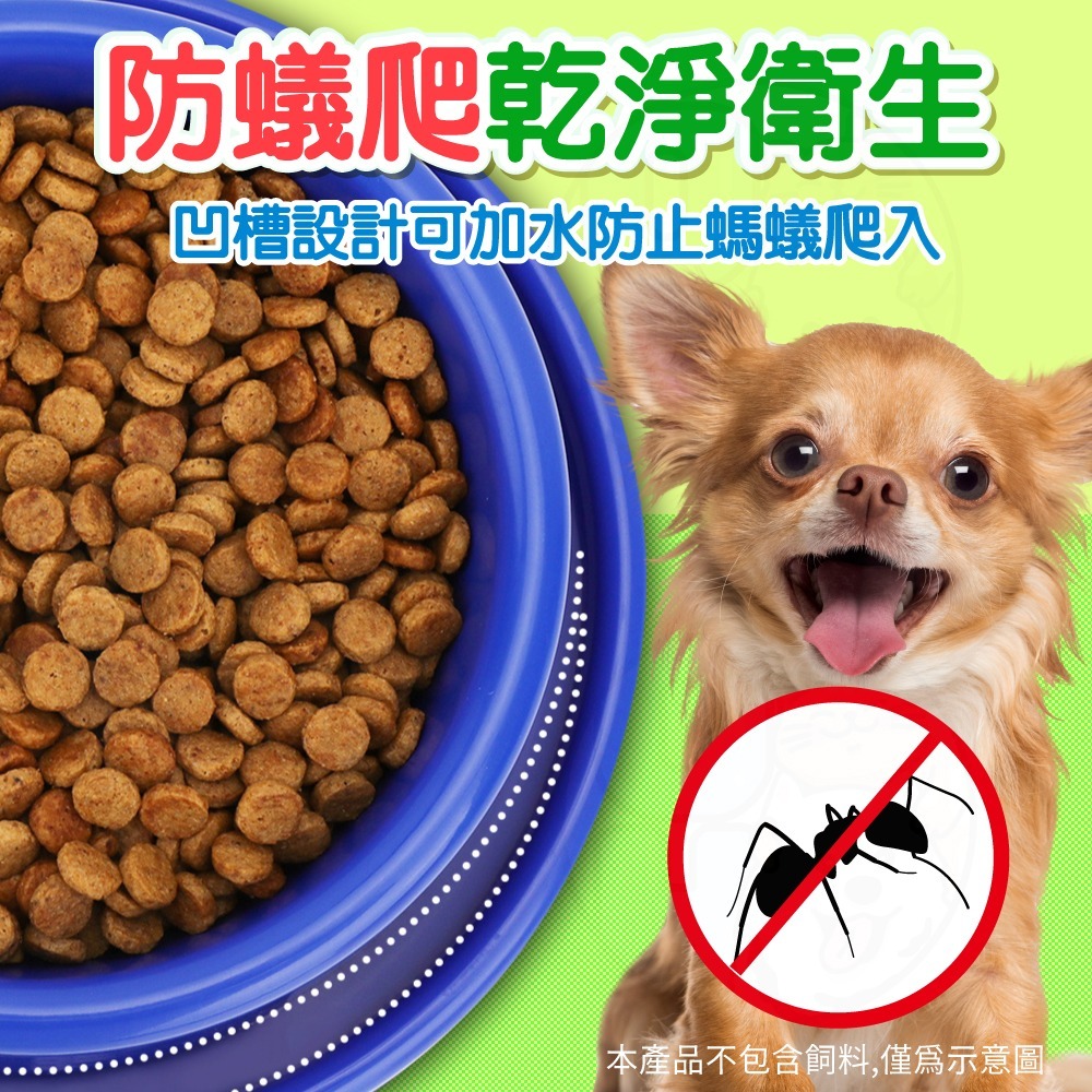 【秒發🔥底部防滑】寵物防蟻碗 防螞蟻寵物碗 防蟻寵物碗 寵物碗 狗碗 貓咪飼料碗 防蟻碗 餵食碗 喝水碗 防螞蟻碗飲水碗-細節圖4