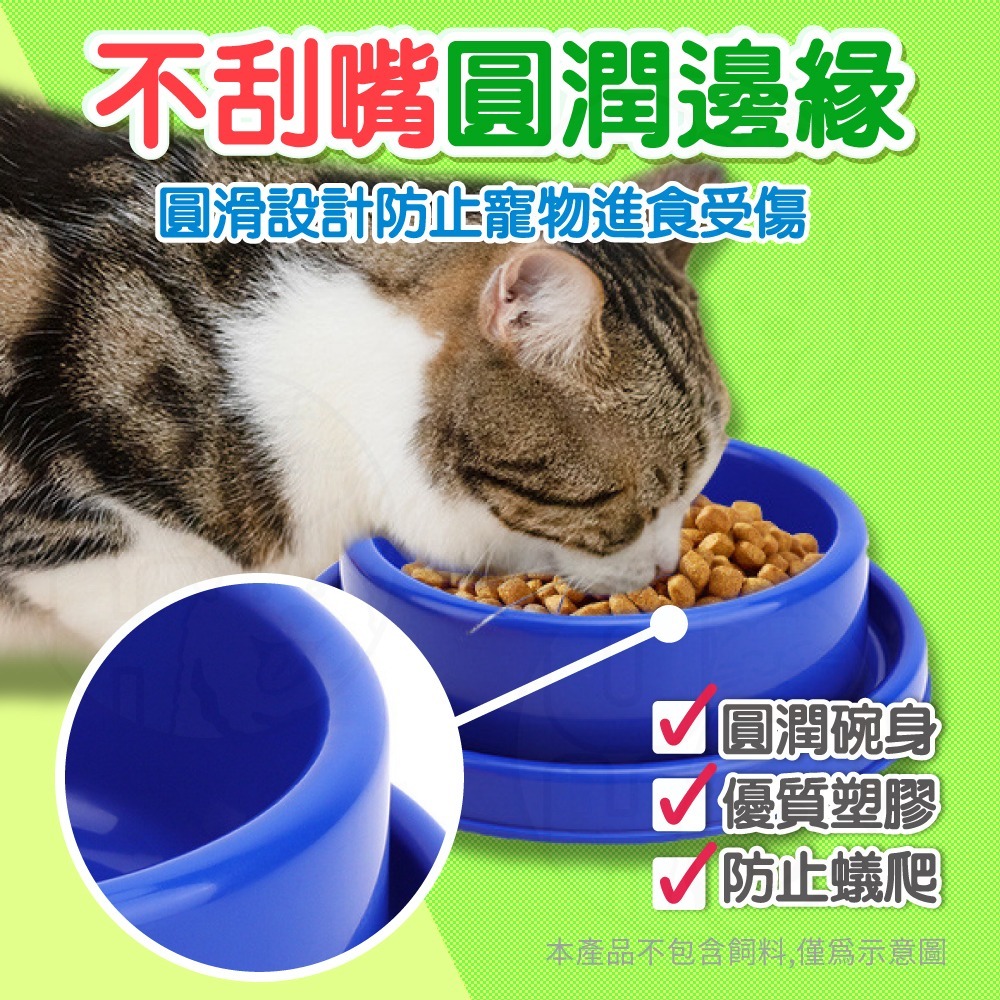 【秒發🔥底部防滑】寵物防蟻碗 防螞蟻寵物碗 防蟻寵物碗 寵物碗 狗碗 貓咪飼料碗 防蟻碗 餵食碗 喝水碗 防螞蟻碗飲水碗-細節圖7