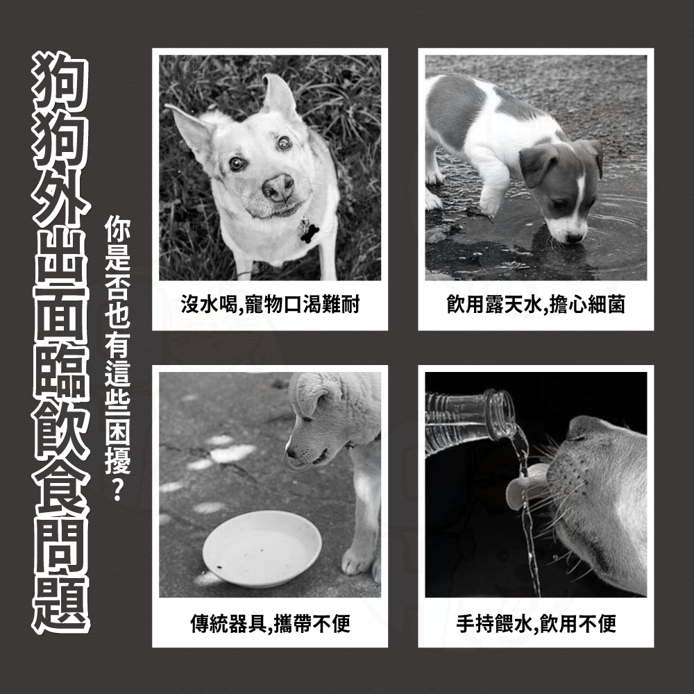 【秒發🔥摺疊收納】寵物外出喝水杯 戶外水壺 外出用品 外出杯 寵物水瓶 寵物隨行杯 寵物水壺 狗狗水壺 寵物飲水杯水碗-細節圖3