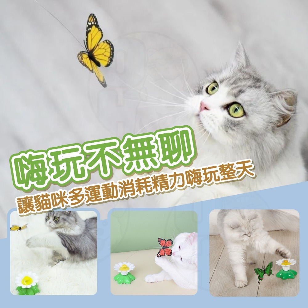 【秒發🔥自動旋轉】電動逗貓玩具 蝴蝶逗貓玩具 旋轉逗貓玩具 貓玩具 逗貓棒 貓咪自嗨玩具 寵物用品 鋼絲逗貓棒 鳥逗貓棒-細節圖8