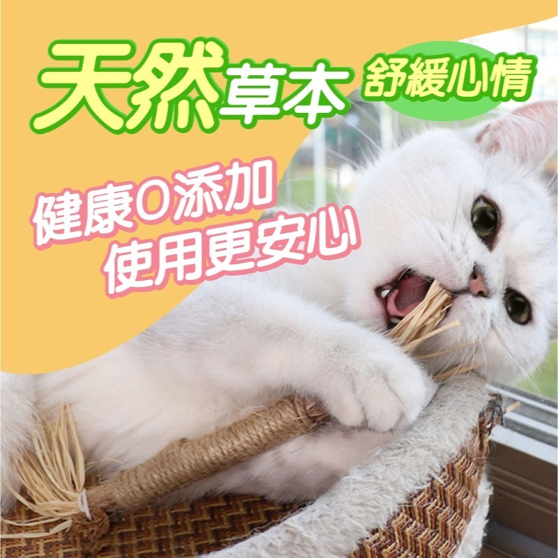 【秒發🔥免運】貓咪木天蓼 木天蓼麻繩棒 小麥草木天蓼 貓咪玩具 貓草玩具 貓咪用品 貓咪磨牙 寵物零食 寵物用品-細節圖6