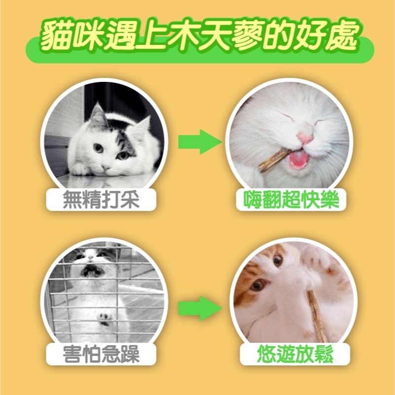 【秒發🔥免運】貓咪木天蓼 木天蓼麻繩棒 小麥草木天蓼 貓咪玩具 貓草玩具 貓咪用品 貓咪磨牙 寵物零食 寵物用品-細節圖7