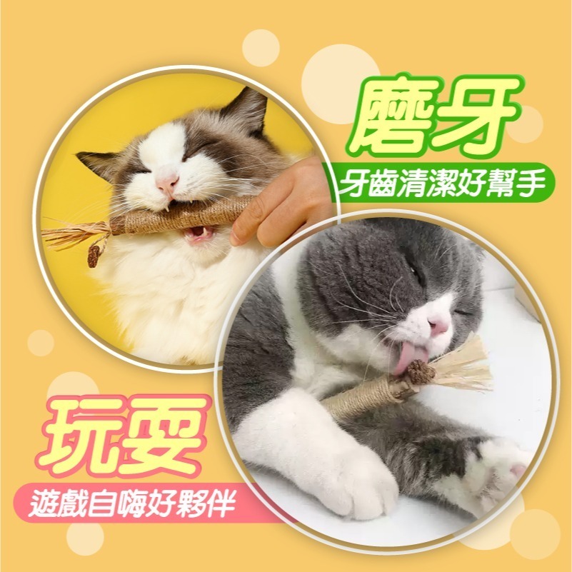 【秒發🔥免運】貓咪木天蓼 木天蓼麻繩棒 小麥草木天蓼 貓咪玩具 貓草玩具 貓咪用品 貓咪磨牙 寵物零食 寵物用品-細節圖8