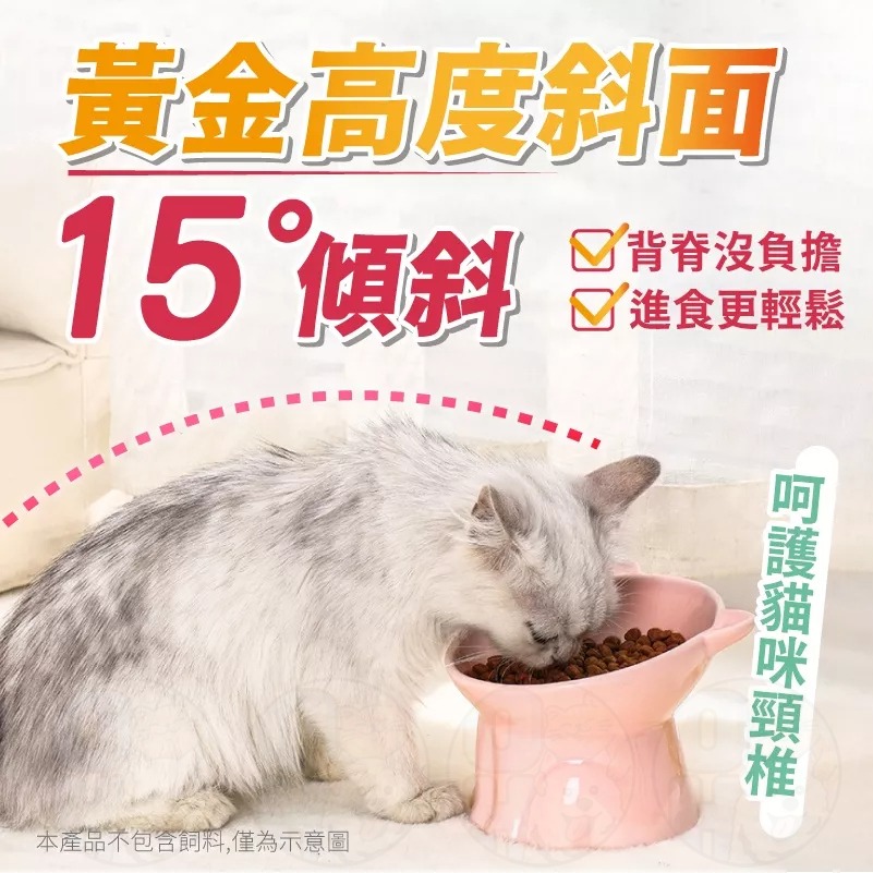 【秒發🔥免運】寵物碗 寵物護頸碗 陶瓷飼料碗 斜口碗 高腳寵物碗 貓咪護頸碗 狗狗護頸碗 防蟻碗 狗碗 貓碗 寵物碗-細節圖6
