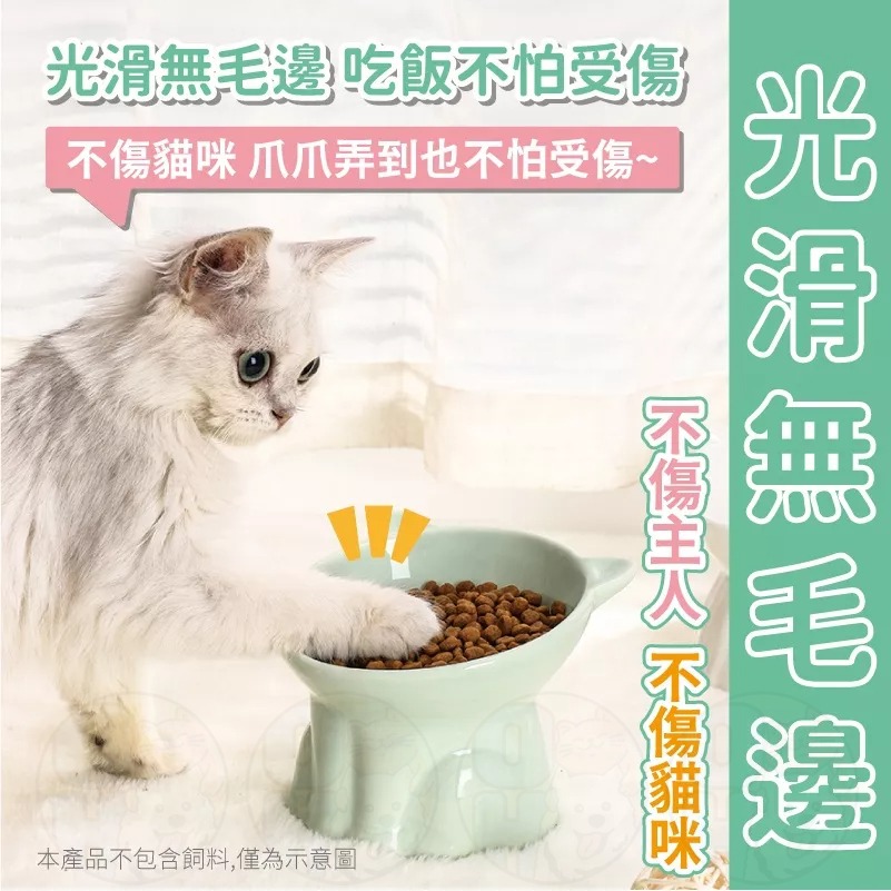 【秒發🔥免運】寵物碗 寵物護頸碗 陶瓷飼料碗 斜口碗 高腳寵物碗 貓咪護頸碗 狗狗護頸碗 防蟻碗 狗碗 貓碗 寵物碗-細節圖7