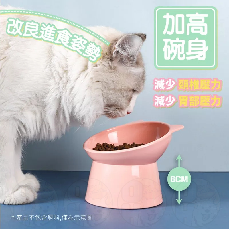 【秒發🔥免運】寵物高腳碗 寵物碗 架高碗 飼料碗 貓狗通用碗 貓咪碗 狗狗碗 貓碗 水碗 寵物碗 高腳碗 斜口止滑碗-細節圖5