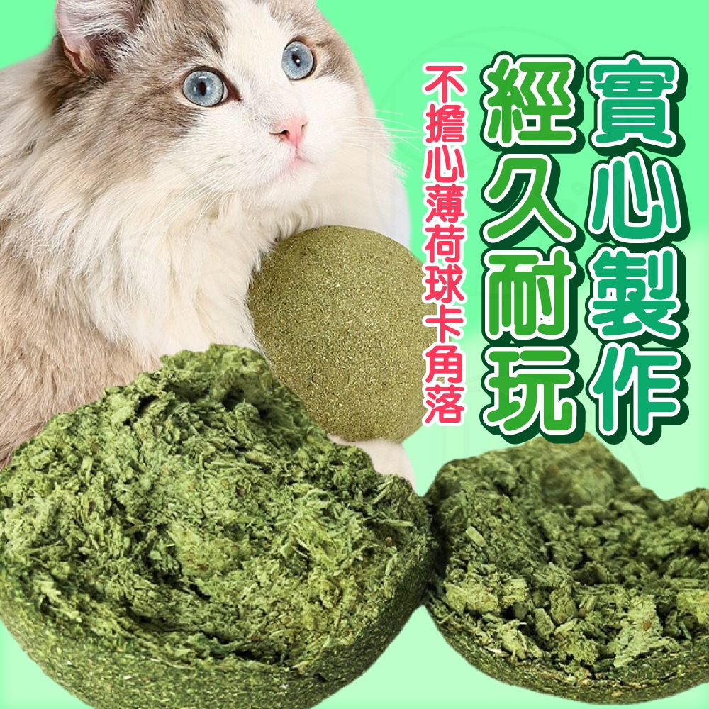 【秒發🔥天然香氣】巨無霸貓薄荷球 蟲癭果球 貓薄荷球 貓薄荷 貓草 貓咪排毛球 貓咪化毛貓咪磨牙球 貓咪玩具 貓零食貓食-細節圖4