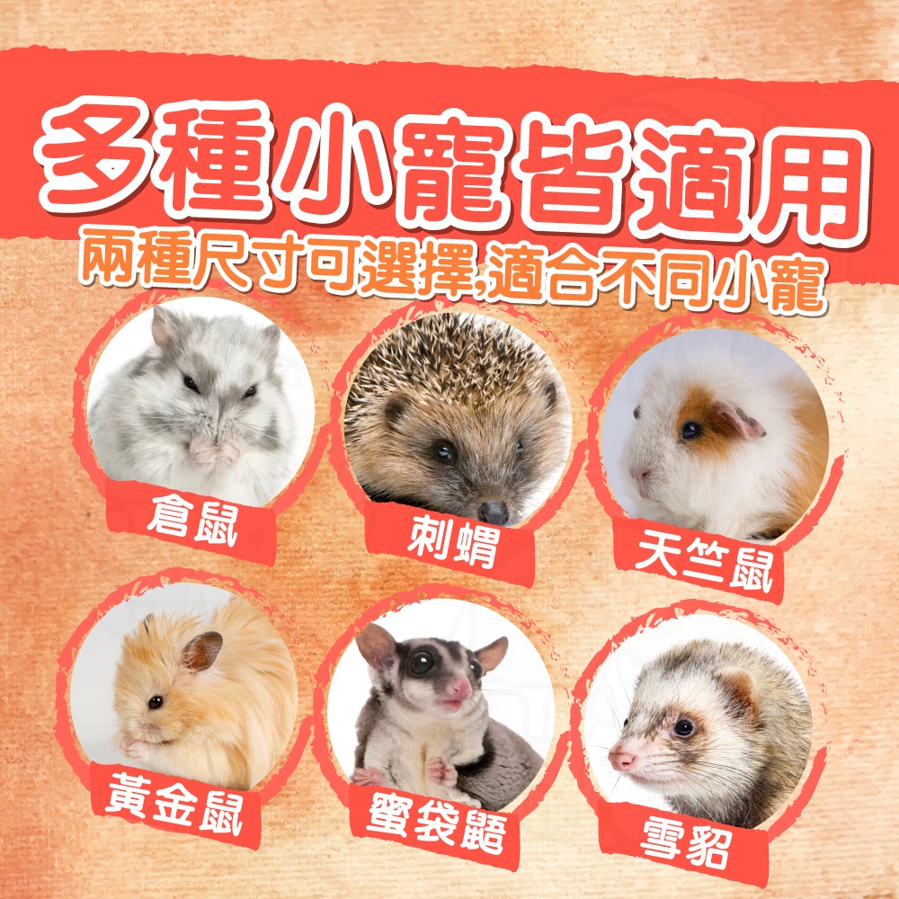 【秒發🔥保暖專用】保暖棉窩墊 小寵保暖棉墊 鼠兔保暖棉墊 鼠兔睡窩 倉鼠睡窩 倉鼠棉墊 刺蝟棉墊 兔子棉墊 冬天保暖屋-細節圖8