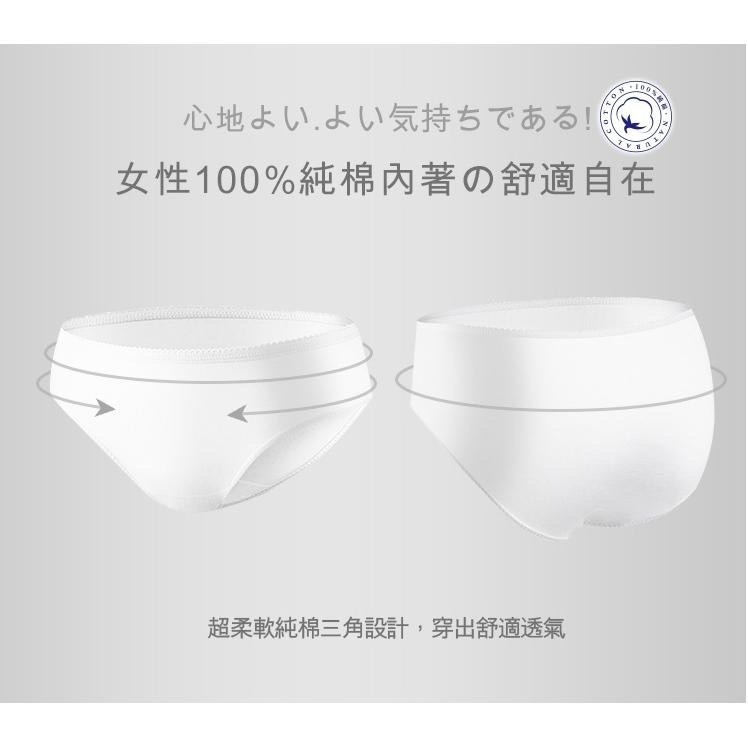 蓓比適 清秀佳人 100%純棉透氣舒適 女性三角免洗內褲 M-XL 中低腰免洗三角內褲-細節圖2
