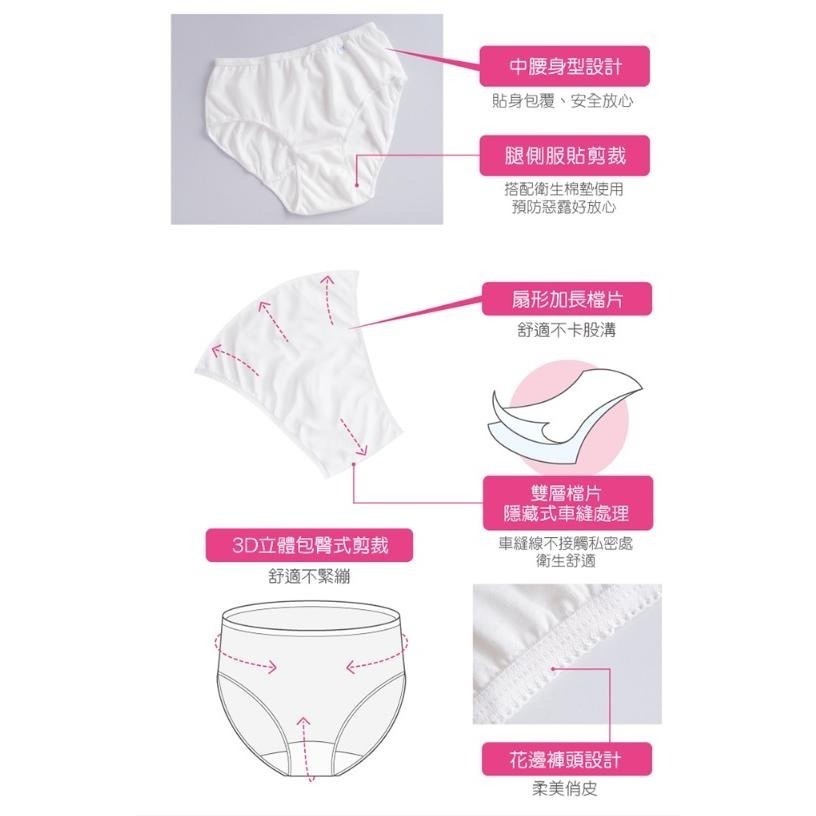 蓓比適 清秀佳人 100%純棉透氣舒適 女性三角免洗內褲 M-XL 中低腰免洗三角內褲-細節圖4