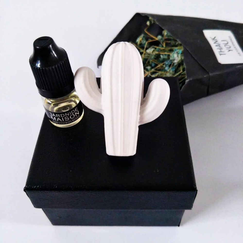 【台灣現貨 滿額免運】擴香石 香氛石 香氛磚 禮物 禮盒 婚禮小物 汽車風口夾 風口夾 仙人掌【KKS-29】-細節圖5