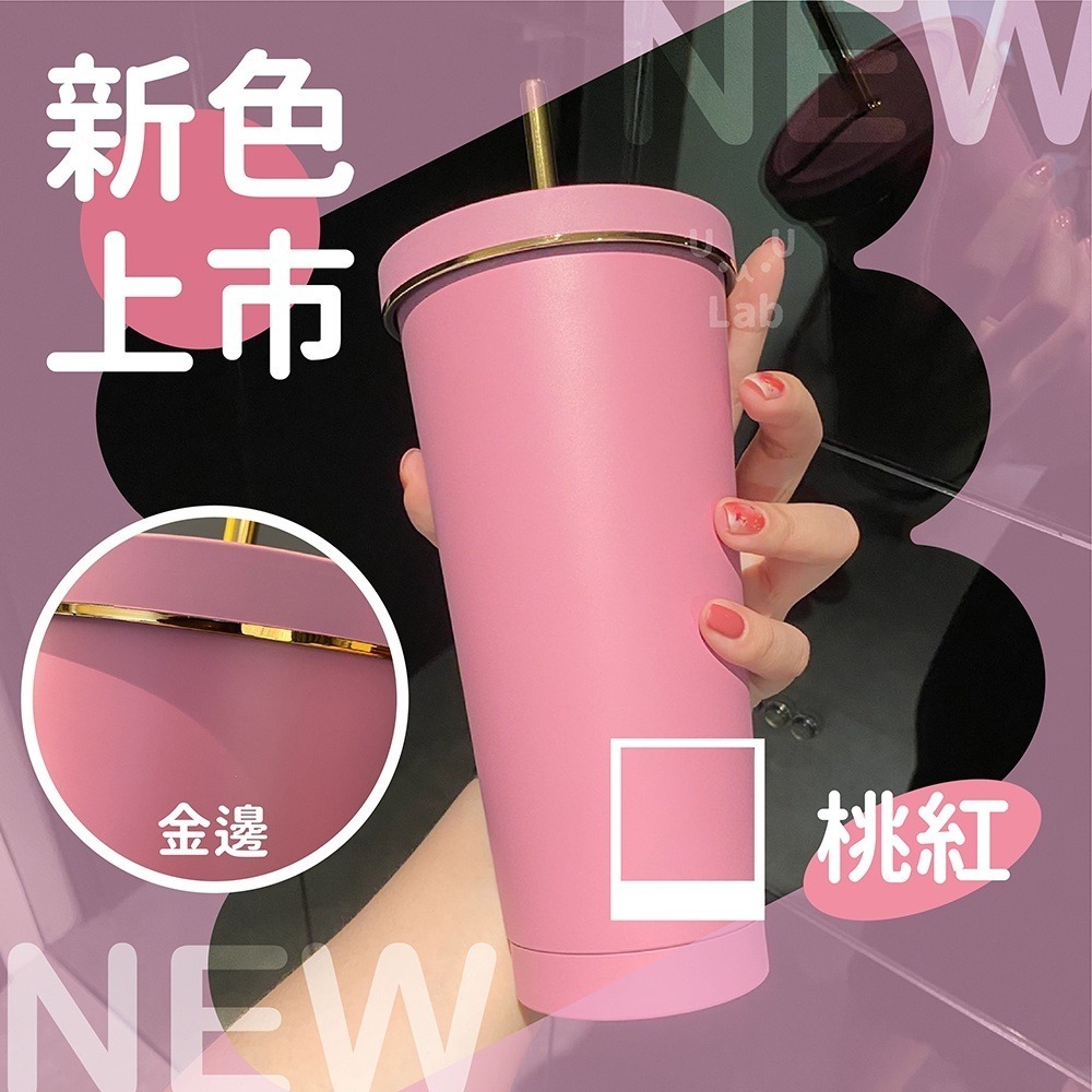 【贈吸管刷 贈吸管套】吸管杯 不鏽鋼杯 隨行杯 不鏽鋼環保杯 冰霸杯 保溫杯 保冰杯 不銹鋼杯 粗吸管杯 冷水杯 飲料杯-細節圖2