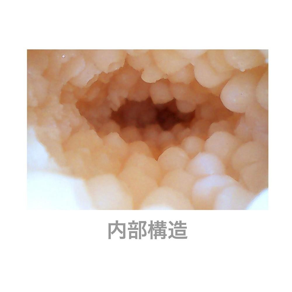 日本SSI JAPAN女神JULIA等身美爆乳水蛇腰真實軀體【地球女神JULIA完美等身女體】-細節圖5