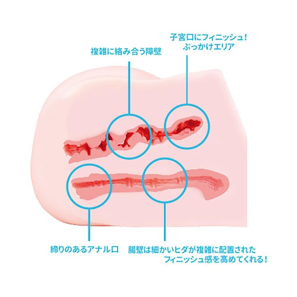 日本MODE OL美尻日記營業部野宮裕一 雙穴男用自慰器(6KG) 男用自慰套 手淫自慰器 情趣用品 成人專區-細節圖3