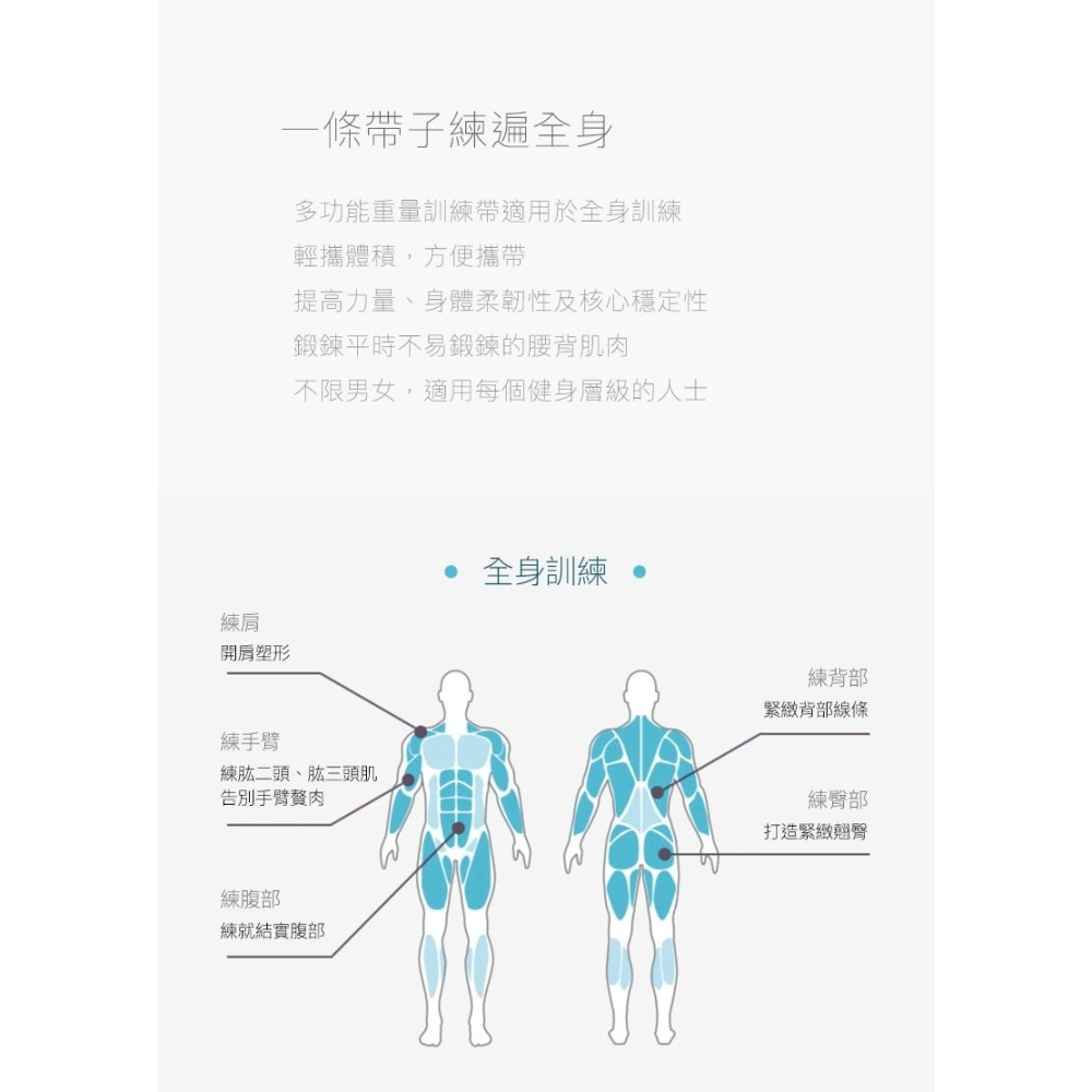 【Fitek健身網】多功能綜合健身訓練帶/大飛鳥交叉訓練帶-細節圖8