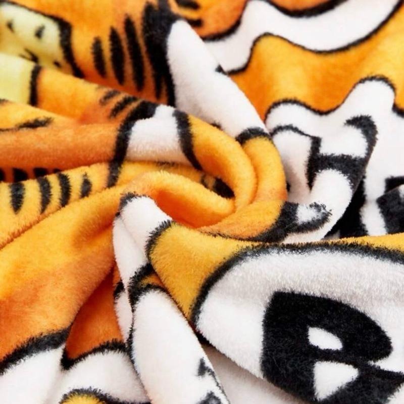 正版聯名 GARFIELD加菲貓 可愛卡通毛毯 毛絨被子-細節圖6