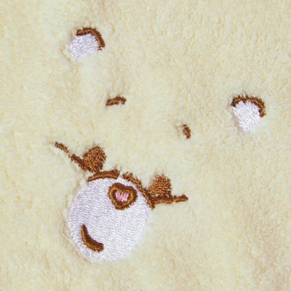 正版聯名 彩虹熊Care Bears 4件組30x30cm珊瑚絨嬰兒小毛巾 柔軟吸水小毛巾-細節圖7