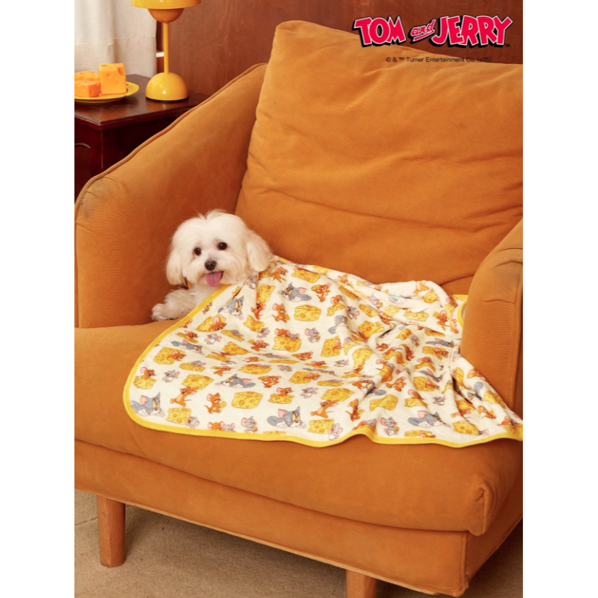正版聯名 TOM&JERRY湯姆貓和傑利鼠印花毛絨保暖四季通用貓狗毯 寵物毯 寵物棉被 寵物墊 寵物毛毯-細節圖5