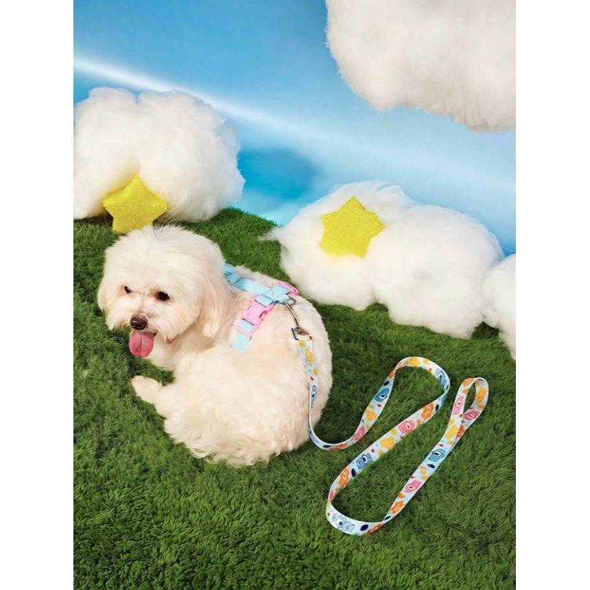 正版聯名 彩虹熊Care Bears 2件組寵物狗背心胸背帶附牽繩組-細節圖3