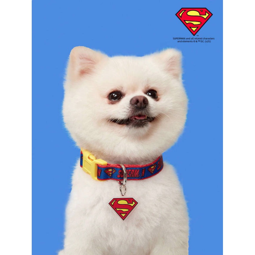 正版聯名 Superman 超級英雄 超人印花寵物項圈 狗狗項圈 貓咪項圈 外出項圈-細節圖3
