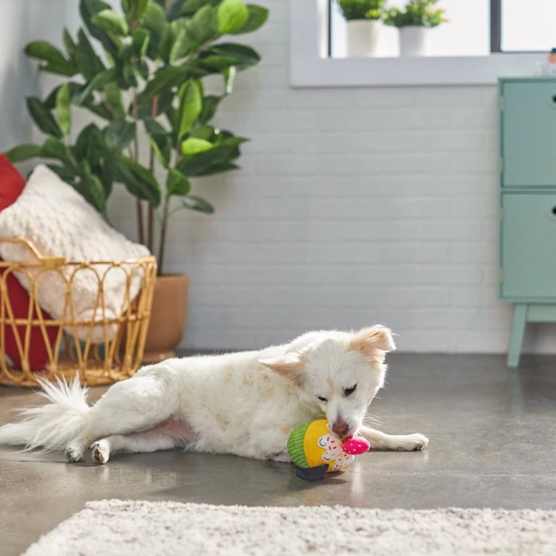 美國 Disney Cupcake Plush Toy 迪士尼高飛/布魯托 杯子蛋糕 寵物啾啾玩具-細節圖5