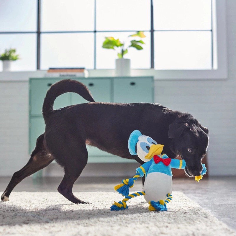 美國 Disney Rope Dog Toy 迪士尼經典角色 米妮/唐老鴨/高飛  寵物拔河繩索/啾啾玩具-細節圖3