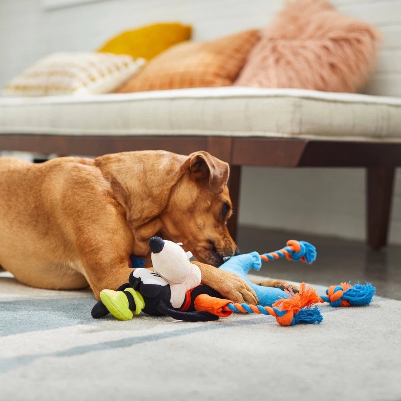 美國 Disney Rope Dog Toy 迪士尼經典角色 米妮/唐老鴨/高飛  寵物拔河繩索/啾啾玩具-細節圖5