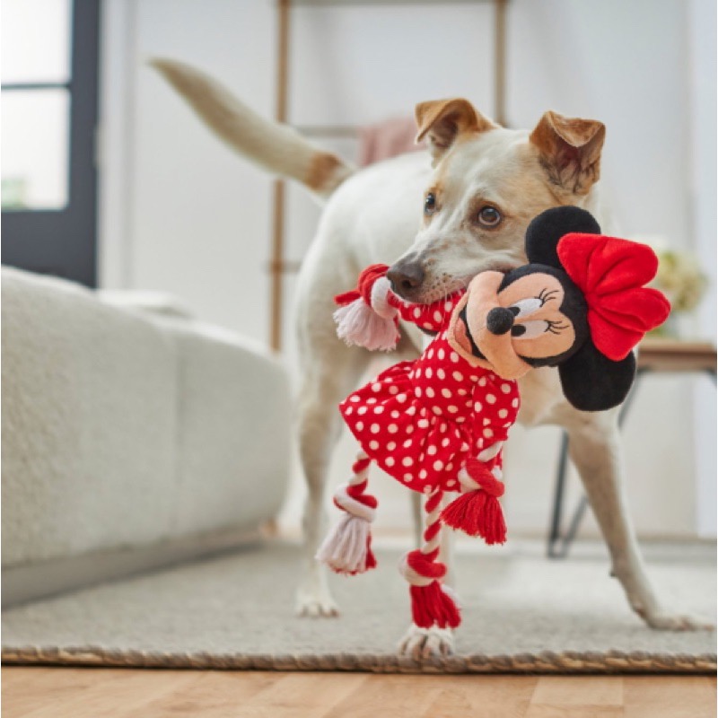美國 Disney Rope Dog Toy 迪士尼經典角色 米妮/唐老鴨/高飛  寵物拔河繩索/啾啾玩具-細節圖7