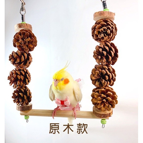 【鸚鵡玩國】鸚鵡 松果 鞦韆 台灣製 松塔串 松果玩具 天然鸚鵡玩具 鳥玩具 鸚鵡啃咬串 果實玩具 鸚鵡用品-細節圖4