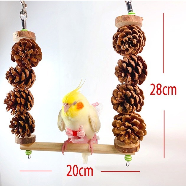 【鸚鵡玩國】鸚鵡 松果 鞦韆 台灣製 松塔串 松果玩具 天然鸚鵡玩具 鳥玩具 鸚鵡啃咬串 果實玩具 鸚鵡用品-細節圖5