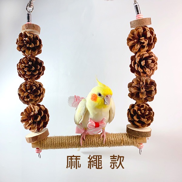 【鸚鵡玩國】鸚鵡 松果 鞦韆 台灣製 松塔串 松果玩具 天然鸚鵡玩具 鳥玩具 鸚鵡啃咬串 果實玩具 鸚鵡用品-規格圖6