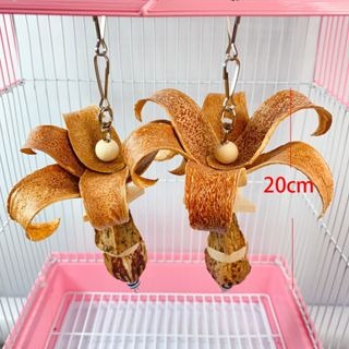 鸚鵡啃咬玩具 出貨快 現貨 台灣製 鸚鵡玩具 天然啃咬串 手作啃咬玩具 鸚鵡用品 適合中小型鸚鵡-細節圖2